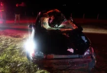 Cavalo na pista provoca acidente e deixa motorista ferido em Joanópolis