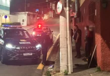 Monitoramento da GCM auxilia na prisão em flagrante de homem por furto de fios