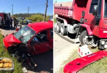 Acidente na Rodovia Capitão Barduíno deixa motorista ferida; cãozinho também recebe atendimento