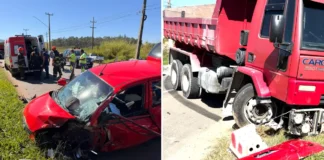 Acidente na Rodovia Capitão Barduíno deixa motorista ferida; cãozinho também recebe atendimento