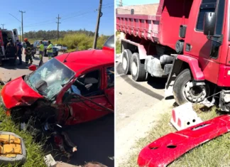 Acidente na Rodovia Capitão Barduíno deixa motorista ferida; cãozinho também recebe atendimento