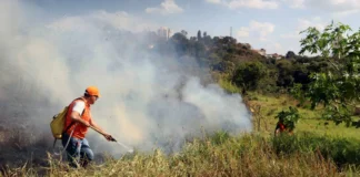 Bragança Paulista lidera área queimada na região em 2025 e reforça ações de prevenção