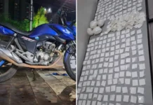 Homem com mandado por tráfico de drogas é capturado em Pedra Bela