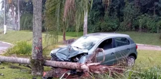 Motorista perde controle de veículo, bate contra árvore e deixa passageiro ferido em Bragança Paulista