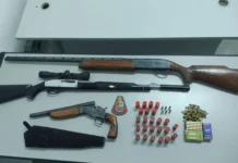 Polícia Militar apreende espingardas, garrucha e munições durante atendimento de ocorrência em Piracaia