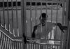 Tentativa de furto é frustrada por vizinha no bairro Jardim São Cristóvão