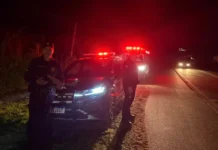 GCM age rápido e retira homem de rodovia antes de possível atropelamento