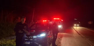 GCM age rápido e retira homem de rodovia antes de possível atropelamento