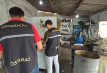 Operação Sucata fecha o cerco contra irregularidades e interdita estabelecimentos em Bragança Paulista
