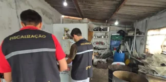 Operação Sucata fecha o cerco contra irregularidades e interdita estabelecimentos em Bragança Paulista