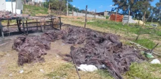 Polícia Militar encontra grande quantidade de fios de cobre queimados em terreno de Atibaia