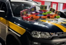 Grande apreensão de cocaína é realizada pela PRF na Rodovia Fernão Dias