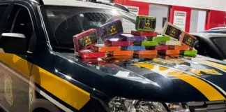 Grande apreensão de cocaína é realizada pela PRF na Rodovia Fernão Dias