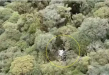 Cantor Rick, da dupla com Renner, morre em queda de helicóptero em Santa Catarina