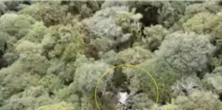 Cantor Rick, da dupla com Renner, morre em queda de helicóptero em Santa Catarina