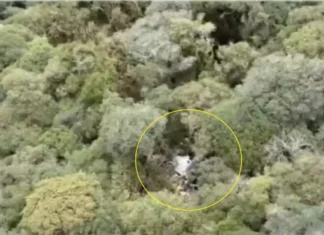Cantor Rick, da dupla com Renner, morre em queda de helicóptero em Santa Catarina