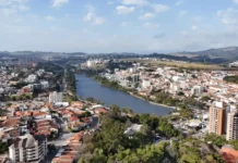 Dia da Árvore será celebrado com atividades ambientais na Arena do Lago do Taboão