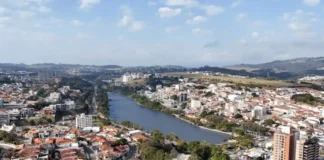 Dia da Árvore será celebrado com atividades ambientais na Arena do Lago do Taboão