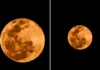 Lua cheia ilumina o céu neste sábado e chama atenção pela beleza durante a noite