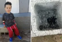 Menino de 1 ano e 10 meses morre após suposta picada de aranha em Atibaia