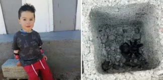 Menino de 1 ano e 10 meses morre após suposta picada de aranha em Atibaia