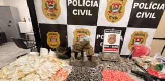 Operação da DISE apreende 19 kg de drogas e pistola calibre 9 mm em Bragança Paulista