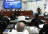 Bragança Paulista terá sistema público de cadastro e identificação de cães e gatos