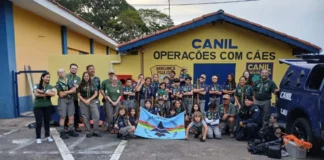 Canil da GCM de Bragança Paulista recebe grupo de escoteiros para apresentação de cães
