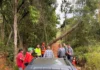 Homem morre eletrocutado após entrar em contato com tronco energizado em estrada rural de Pinhalzinho
