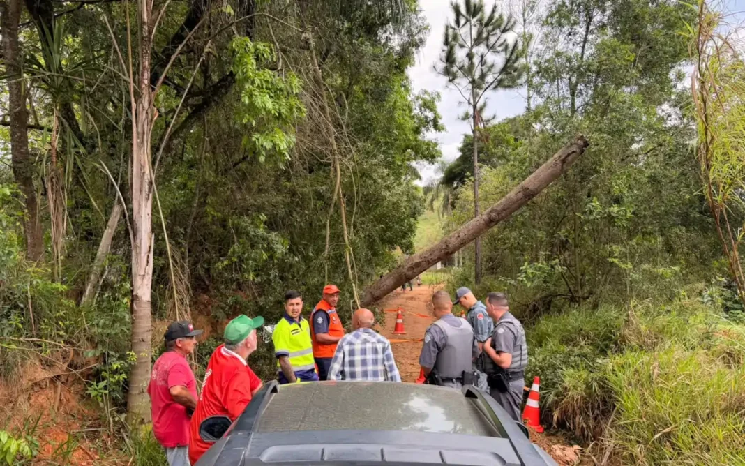 HOMEM MORRE ELETROCUTADO APÓS ENTRAR EM CONTATO COM TRONCO ENERGIZADO