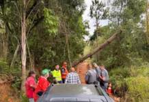 Homem morre eletrocutado após entrar em contato com tronco energizado em estrada rural de Pinhalzinho