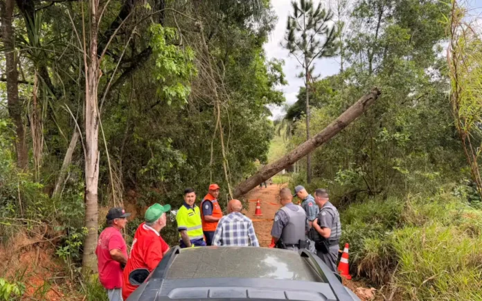 HOMEM MORRE ELETROCUTADO APÓS ENTRAR EM CONTATO COM TRONCO ENERGIZADO