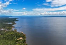 Veja os planos de governo de Flávio Bolsonaro e Lula para meio ambiente e clima